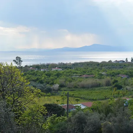 Apartament Apanemia *