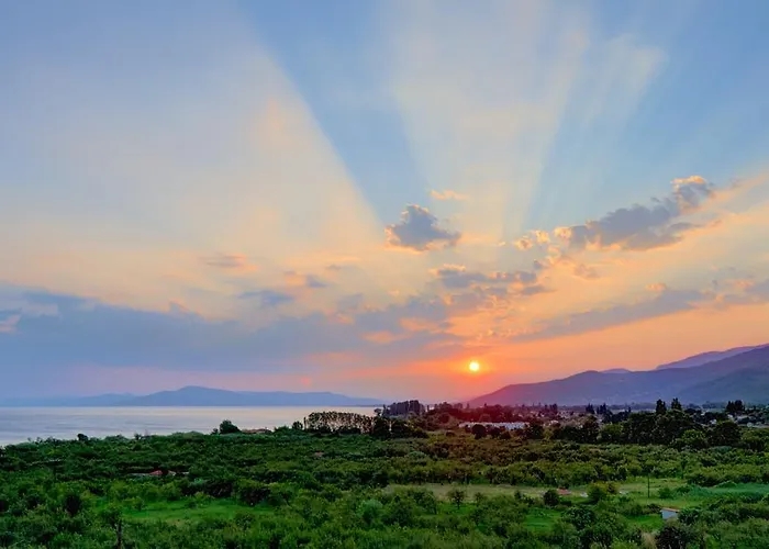 Apanemia * 아피소스